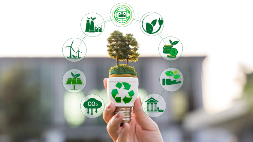 Tecnologia e sustentabilidade se unem com Luciano Colicchio Fernandes para reduzir impactos ambientais por meio de soluções digitais.