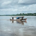 Embarcação tradicional de madeira navegando por um rio na Amazônia brasileira.